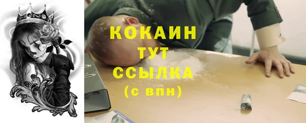 молекула духа Алексин