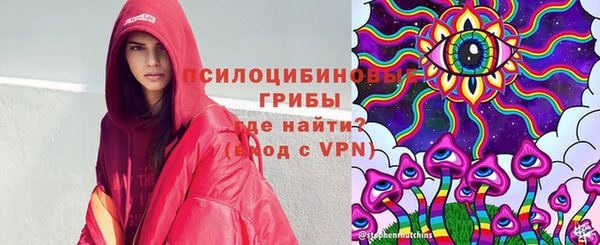 молекула духа Алексин