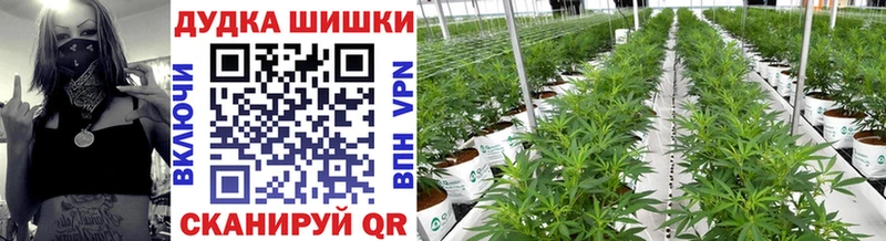 Канабис White Widow  где купить   Кропоткин 